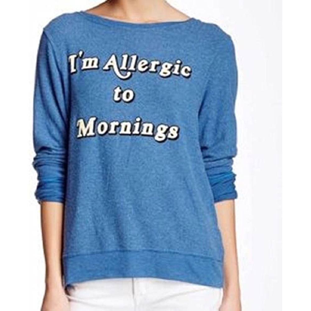 Wildfox Couture I'm Allergic to Mornings Baggy Beach Jumper